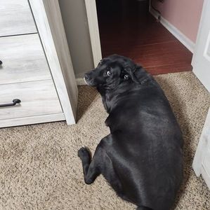 Meet your Posher, Eva l